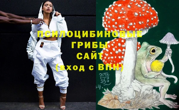 стафф Беломорск
