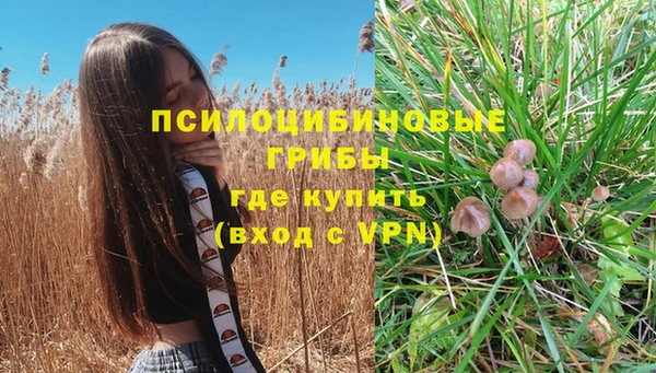 экстази Белокуриха