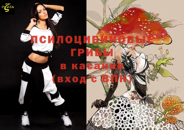 spice Усинск